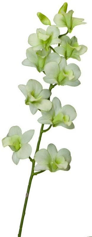 Lifelike light green Dendrobium orchid spray, 700mm tall, perfect for elegant home decor or special events like weddings.
