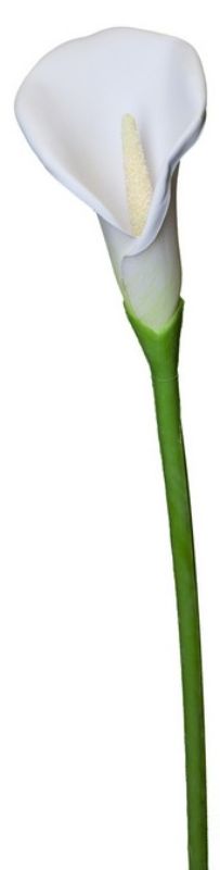 Realistic white Calla Lily Spray measuring 740mm, perfect for home decor, weddings, and floral arrangements.