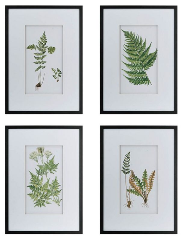 Elegant set of 4 fern prints, enhancing any room with nature-inspired decor and a serene ambiance.