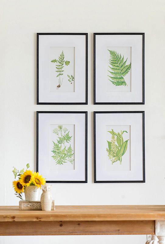 Set of 4 botanical fern prints in elegant frames, perfect for adding nature-inspired decor to any living space.