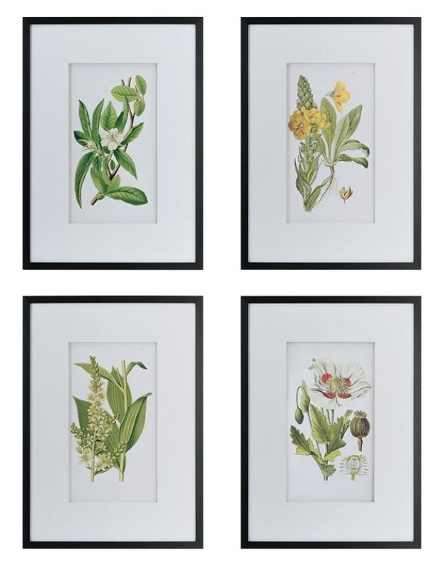 Elegant set of 4 botanical wall art prints, showcasing stunning designs to enhance any room's aesthetic and bring nature indoors.