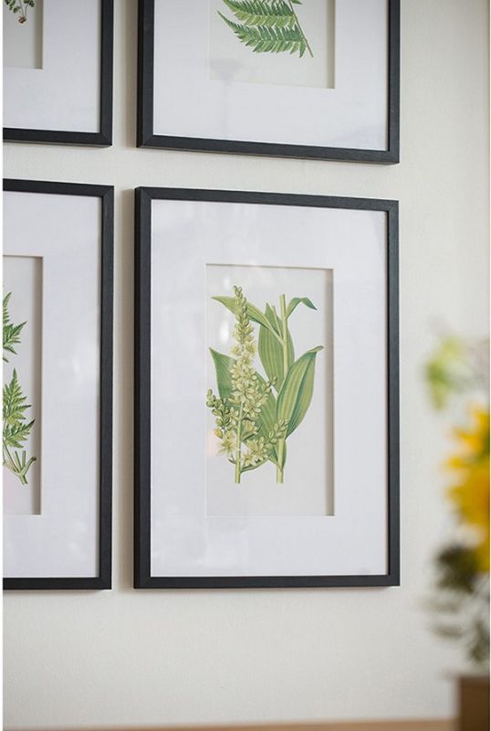 Set of 4 botanical wall art prints featuring lush designs for enhancing interior decor with natural elegance.