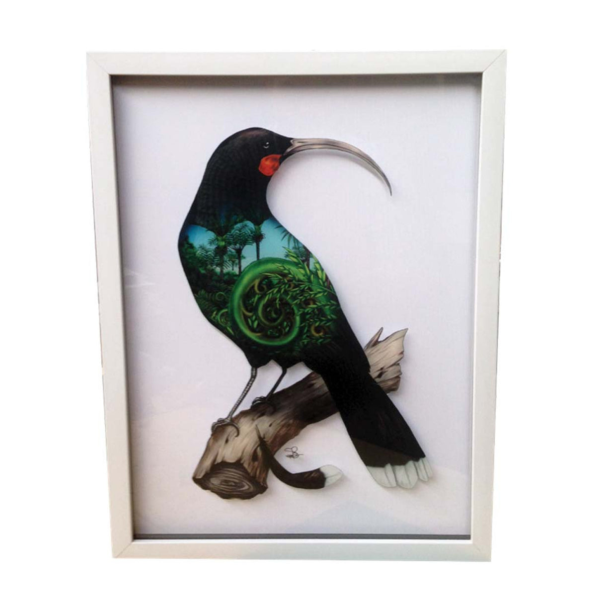 Framed print of the iconic Huia bird on glass, showcasing vibrant colors and Kiwiana charm for elegant home decor.
