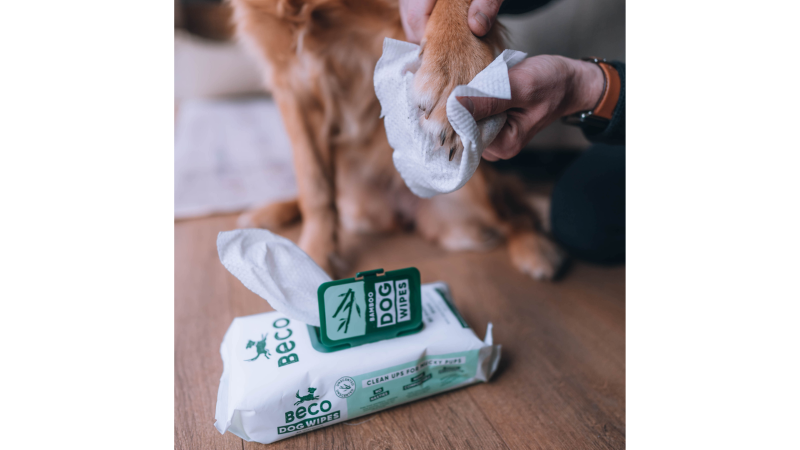 Beco Wipes - Unscented (80pk) for gentle dog cleaning; aloe vera & shea butter, hypoallergenic, eco-friendly bamboo, compostable.