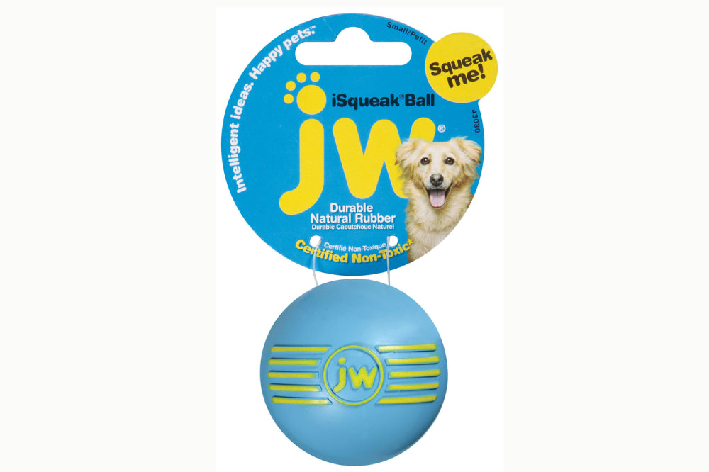 Durable medium-sized JW iSqueak Ball for dogs, featuring a squeaker and vibrant colors for lively playtime.