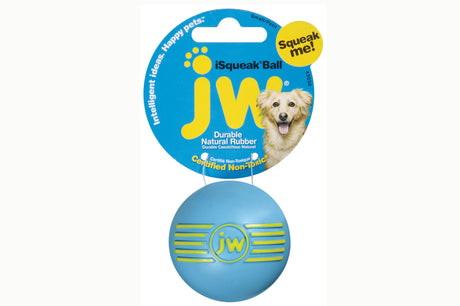 Durable medium-sized JW iSqueak Ball for dogs, featuring a squeaker and vibrant colors for lively playtime.