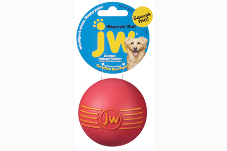 Small, durable JW iSqueak Ball dog toy for playful chewing, featuring a squeaker and available in vibrant colors.