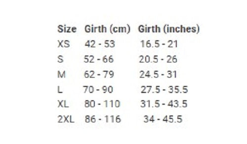 EzyDog Express Harness S Black, a sleek, ergonomic dog harness with contoured padding and reflective trim for comfort and safety.