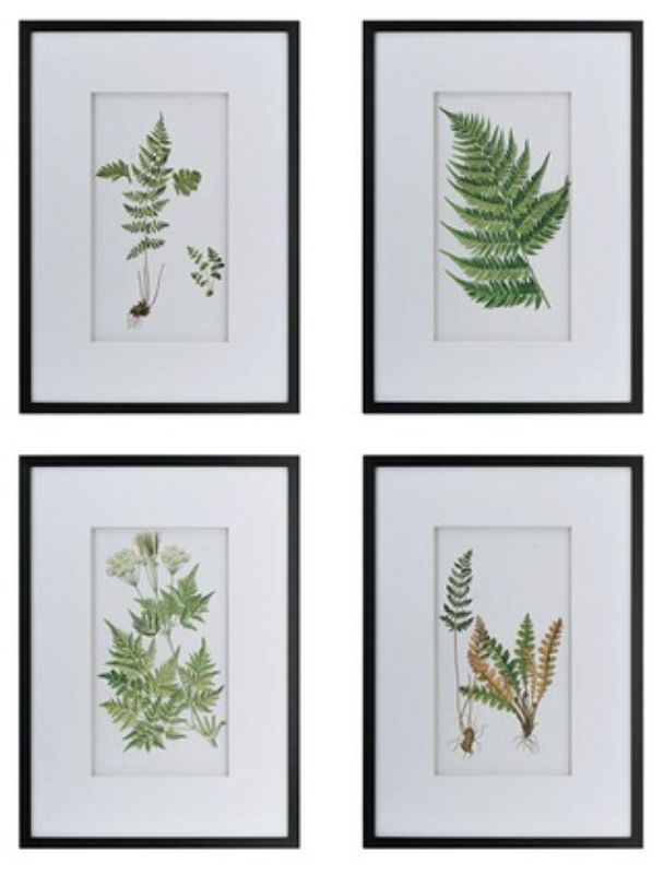 Set of 4 fern prints in frames, adding natural elegance and vibrant colors to any living space.