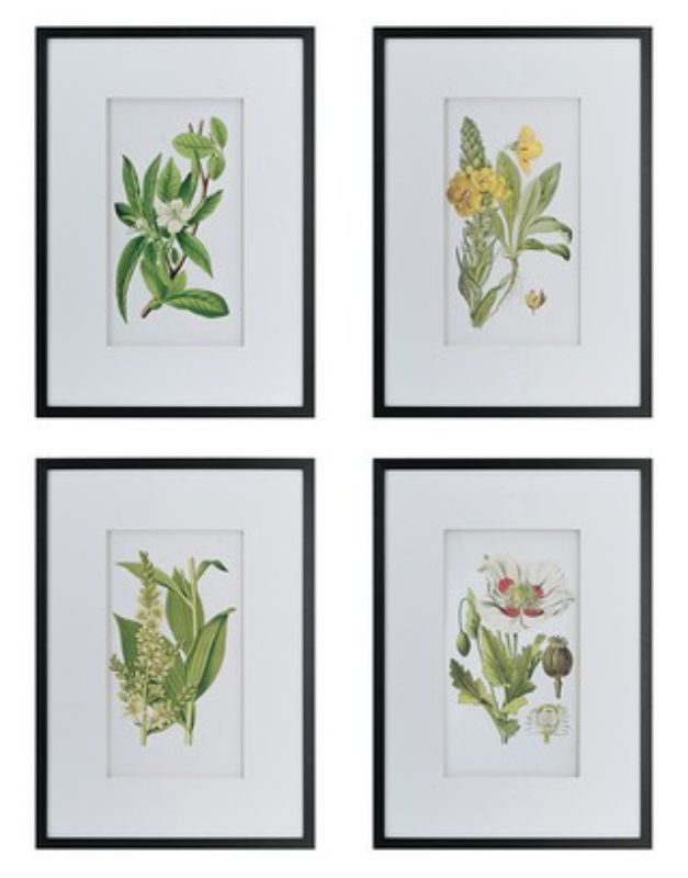 Set of four elegant botanical prints, perfect for enhancing any space with natural beauty and sophistication.