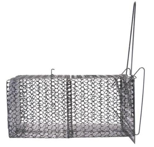 McGregor's Metal Cage Rat Traps: humane, durable traps for safe rodent capture and release, ideal for homes and farms.
