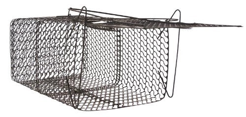 Humane metal cage rat traps for effective rodent control, ideal for homes and farms, safe and reusable.