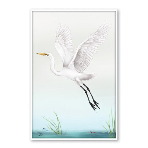 Sophie Blokker Kiwiana Framed Canvas Print featuring a White Heron, perfect for enhancing home decor with natural beauty.