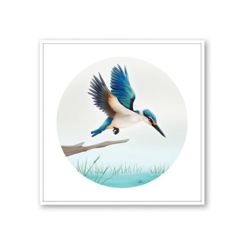 Framed canvas print of a Kingfisher in flight, showcasing vibrant New Zealand wildlife and natural elegance.
