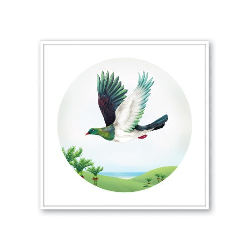 Framed canvas print of a Wood Pigeon in flight, showcasing vibrant colors and celebrating New Zealand's wildlife and culture.
