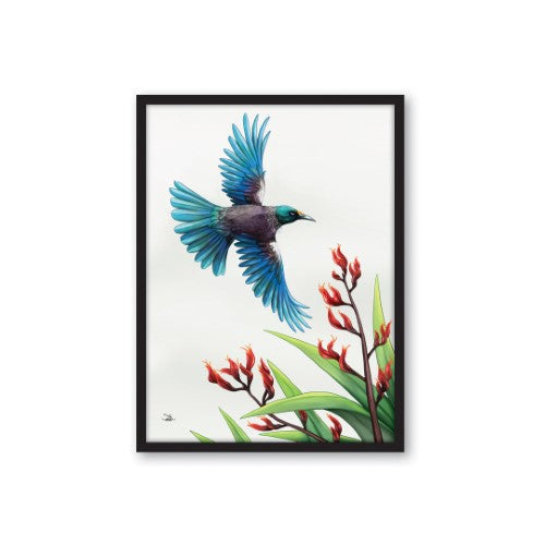 Framed canvas print of a Tui in flight, showcasing vibrant colors and capturing the essence of New Zealand wildlife.