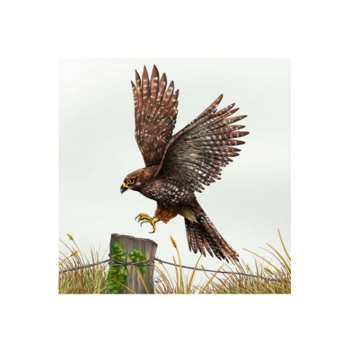 Sophie Blokker 3D textured ceramic tile featuring a falcon design, ideal for stylish Kiwiana wall decor.
