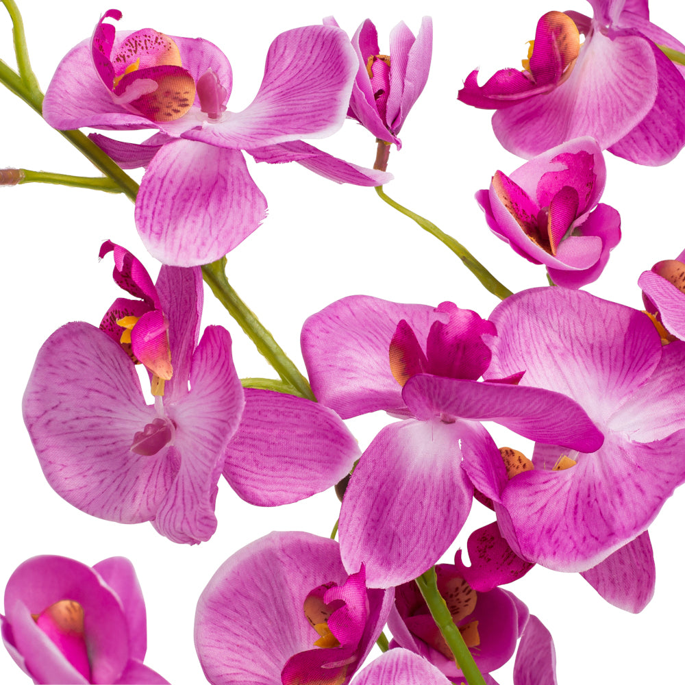 Artificial large fuchsia orchids in a vase, 750mm tall, vibrant decor with no maintenance needed.