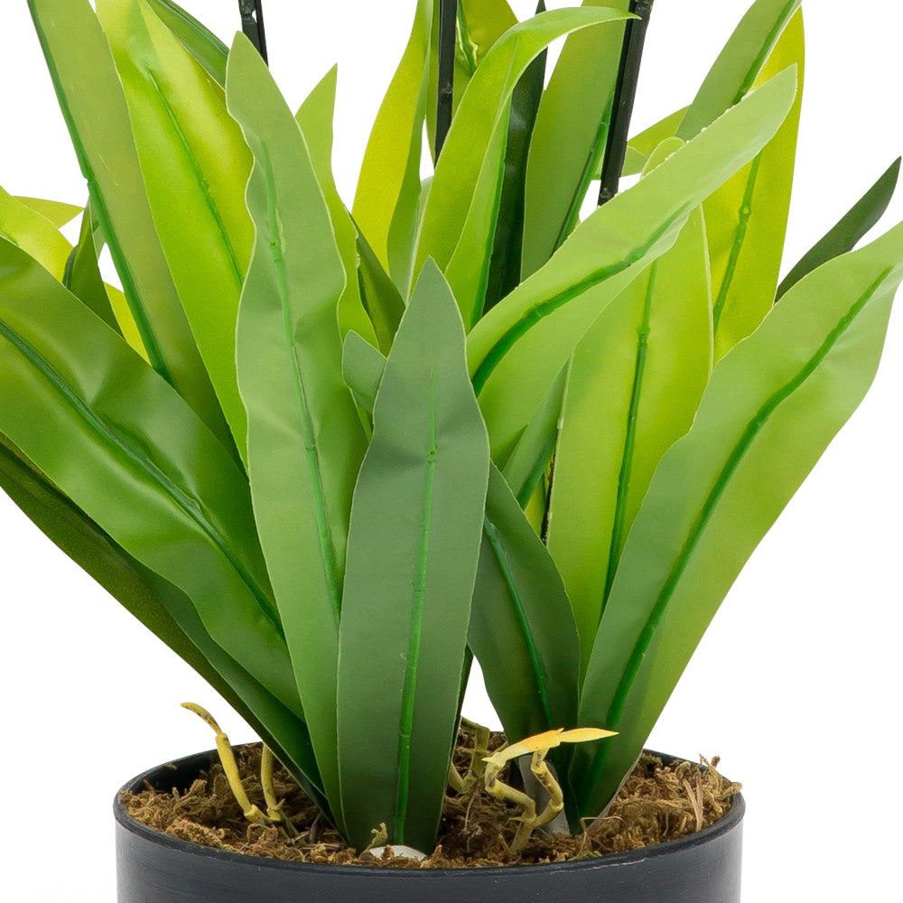 Large artificial white orchids in a stylish vase, standing 750mm tall, ideal for home or office decor.