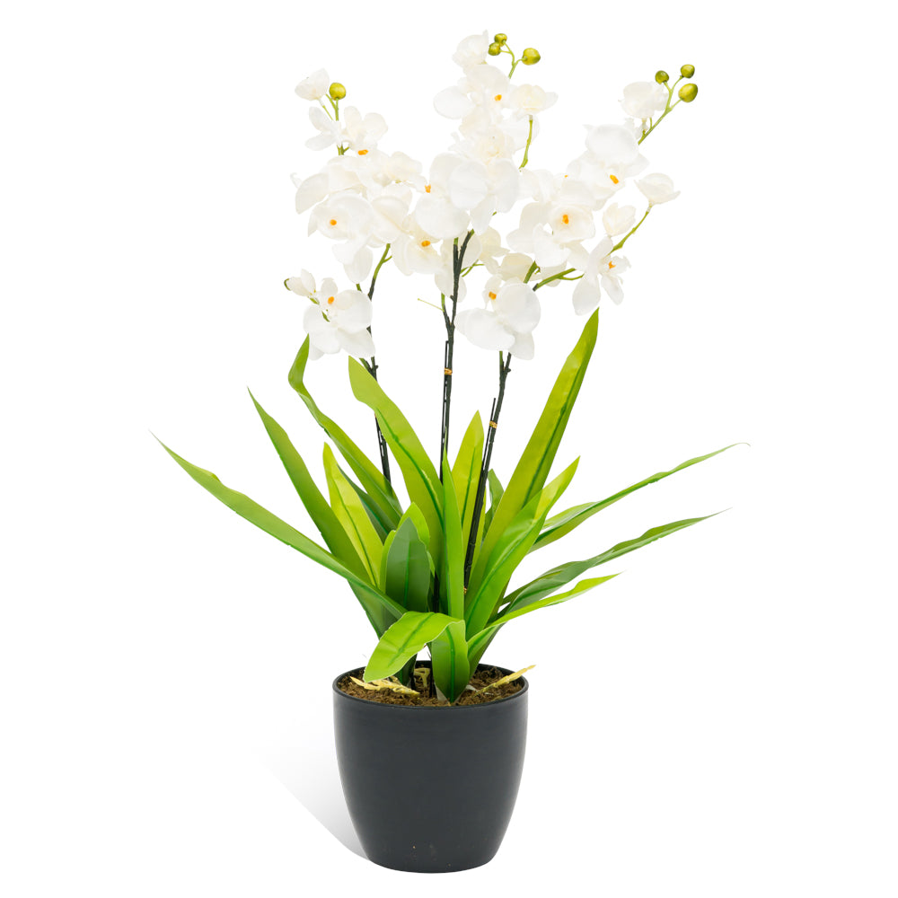 Artificial large white orchids in a sleek vase, 750mm tall, perfect for adding vibrant decor without maintenance.