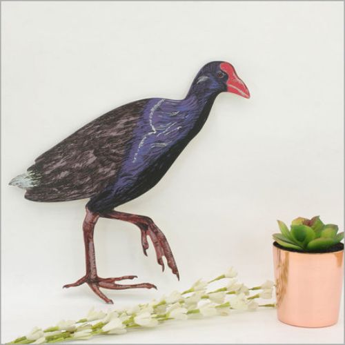 Kiwiana wall art featuring a vibrant Pukeko bird, printed on durable aluminium composite for indoor and outdoor display.