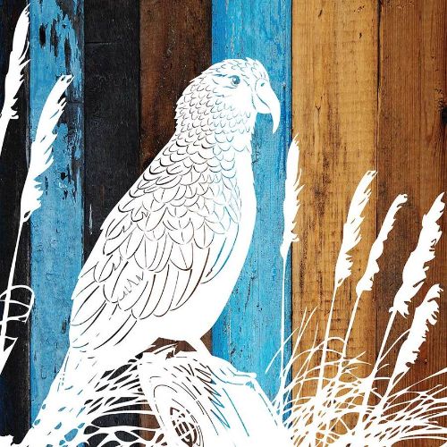 Kiwiana wall art block featuring a vibrant Kea, made from eco-friendly plywood, ideal for home decor and easy hanging.