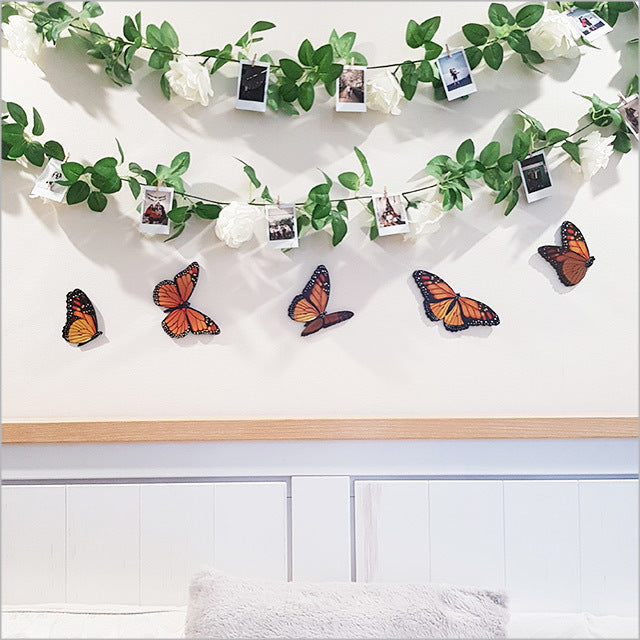 Vibrant Kiwiana Monarch butterfly wall art set, featuring five unique designs on durable ACM for indoor and outdoor decor.