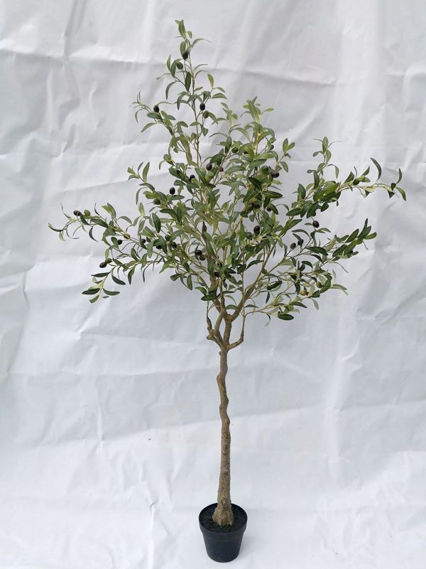 Lifelike 1.8m artificial olive tree in a stylish pot, ideal for adding Mediterranean elegance to any indoor or outdoor space.