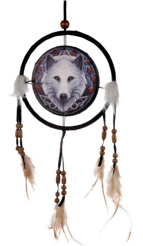Artisan-crafted LISA PARKER Guardian of the Falls Dreamcatcher, 16cm, featuring a mystical guardian spirit for home decor.