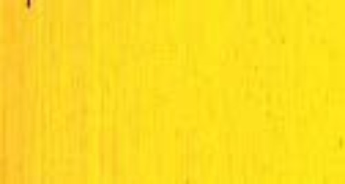 Artist Oil Paint - As Oil 40ml S5 Aureolin, a vibrant, lightfast paint in a durable tube, perfect for bold artwork creation.