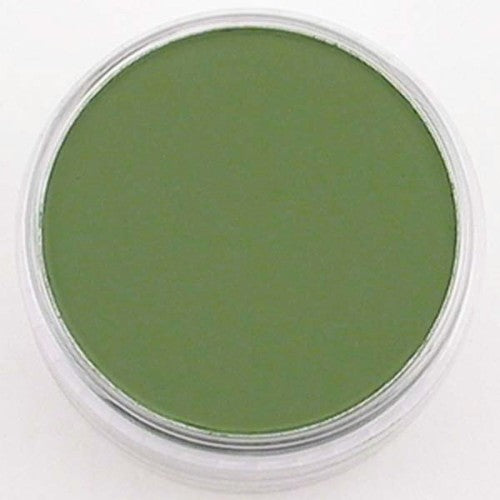 Artist Pastel - Pan Pastel 660 3 Chr Ox Green Shade