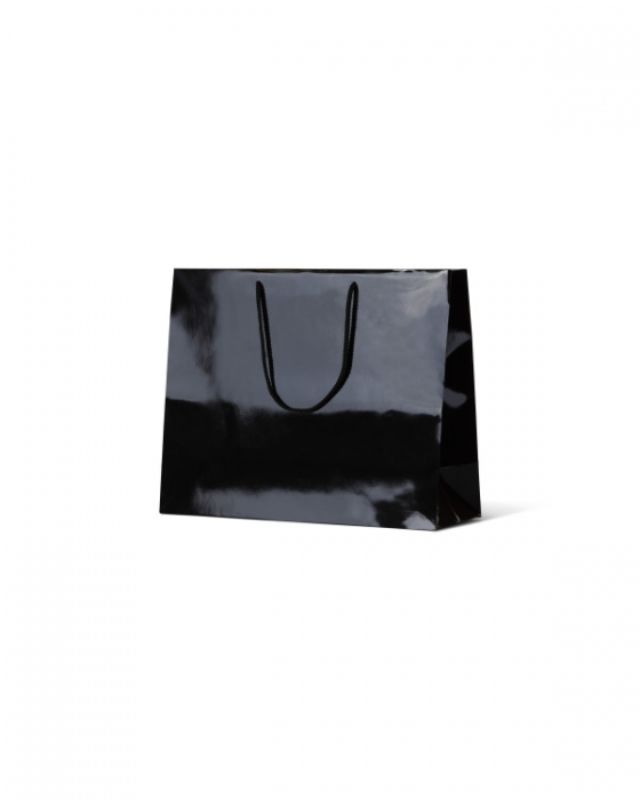 Elegant black laminated bags with gloss finish, strong rope handles, perfect for retail packaging, 50-pack.