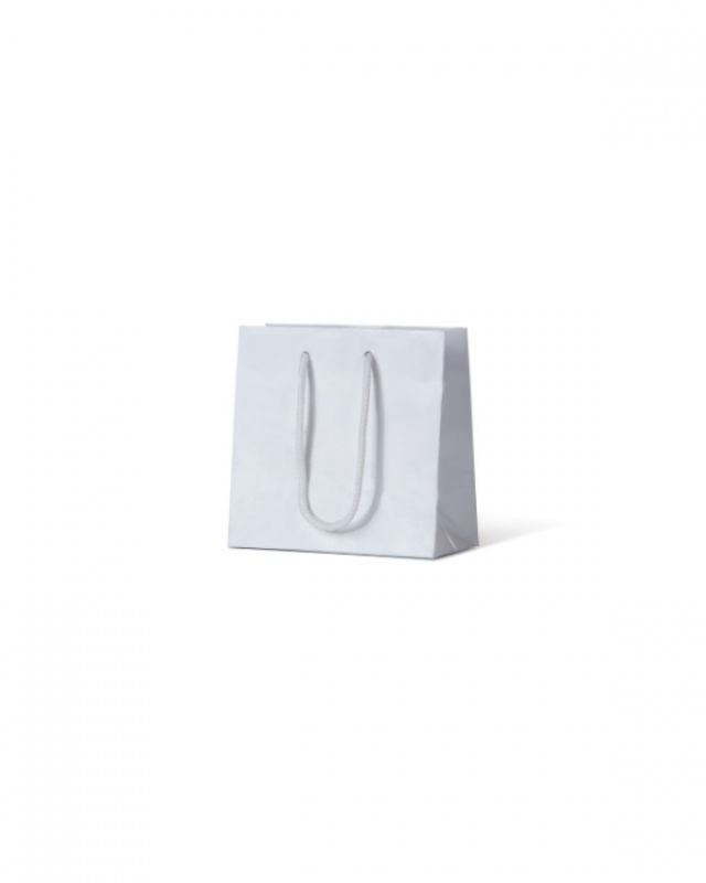 Laminated Gloss Petite Bags in white, ideal for small items, featuring a durable design with a striking gloss finish. Pack of 200.