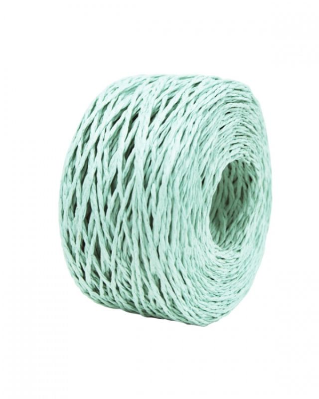 Mint paper twine roll, 2mm x 100m, perfect for elegant gift wrapping and versatile crafting projects.