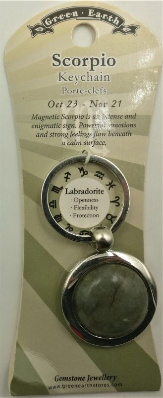 Set of 6 Scorpio keyrings made of labradorite, featuring unique designs and celestial charm, perfect for zodiac lovers.