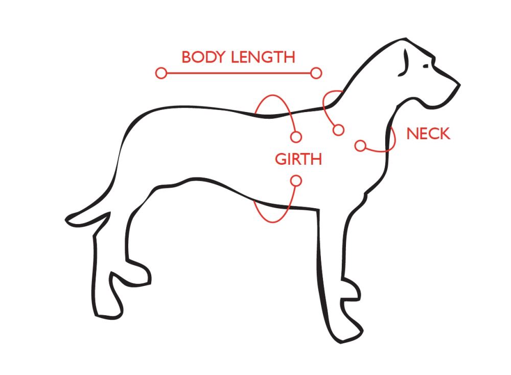 Red EzyDog Chest Plate Harness for small dogs, featuring ergonomic foam, reflective stitching, and a secure D-ring for leashes.