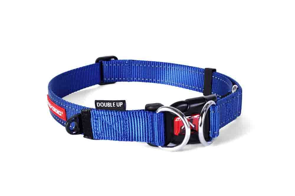 Ezy Dog Collar Double Up in blue, medium size, built for strength and safety with double D-rings and reflective webbing.