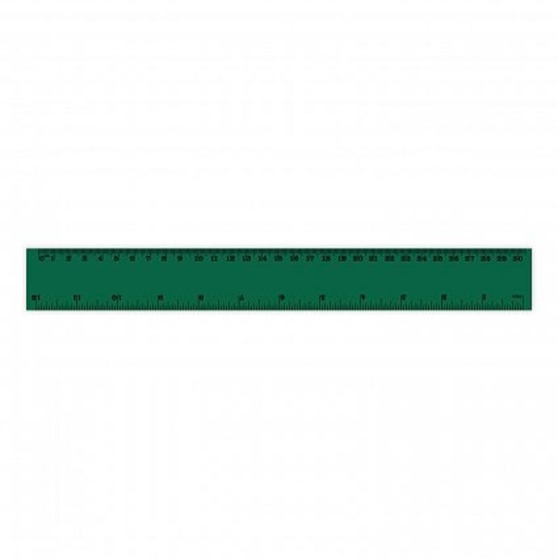 Dark green 30cm Flip Ruler set of 50 with clear graduations and a recessed edge for easy handling and flipping.