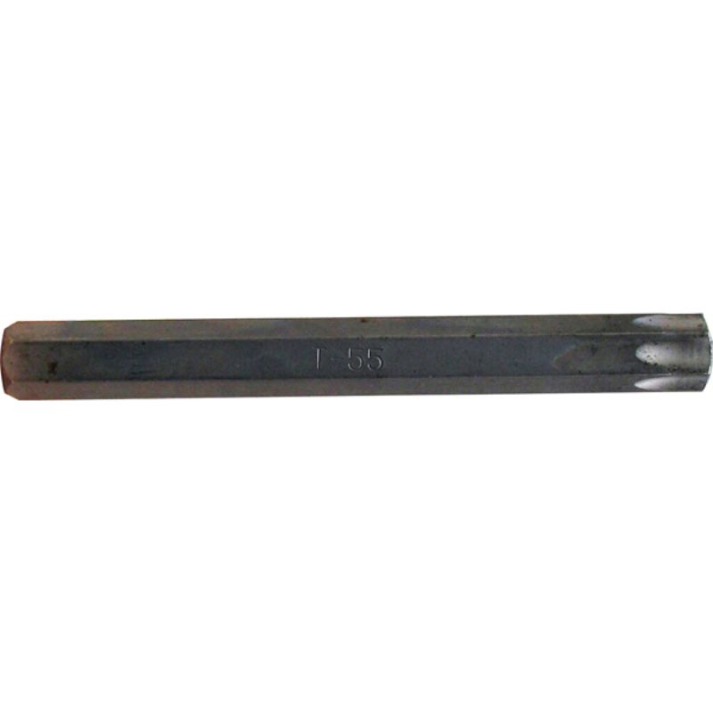 10mm Teng Hex Tx55 bit with 100mm length, designed for durability and torque in automotive and construction tasks.