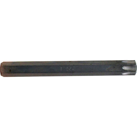 10mm Teng Hex Tx55 bit with 100mm length, designed for durability and torque in automotive and construction tasks.
