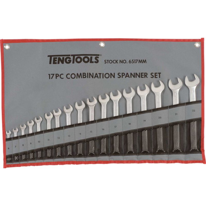 17-piece Teng combination metric spanner set, chrome vanadium steel, 6-22mm, 12-point ring heads, tool roll for organization.