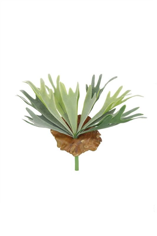 Set of 4 mid-green artificial Stag Horn Ferns, each with 13 heads, perfect for adding lush greenery to any decor.