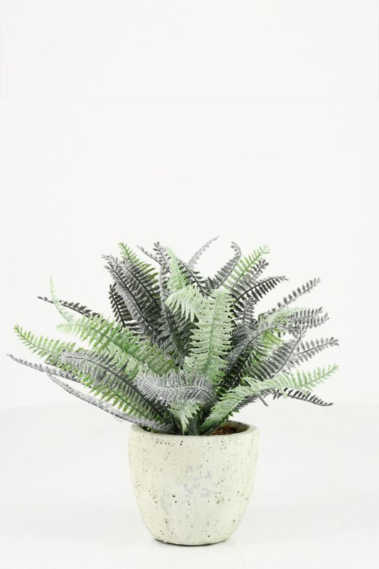 Set of 6 artificial Boston ferns in cement-style pots, 25cm tall, perfect for effortless home and event decor.