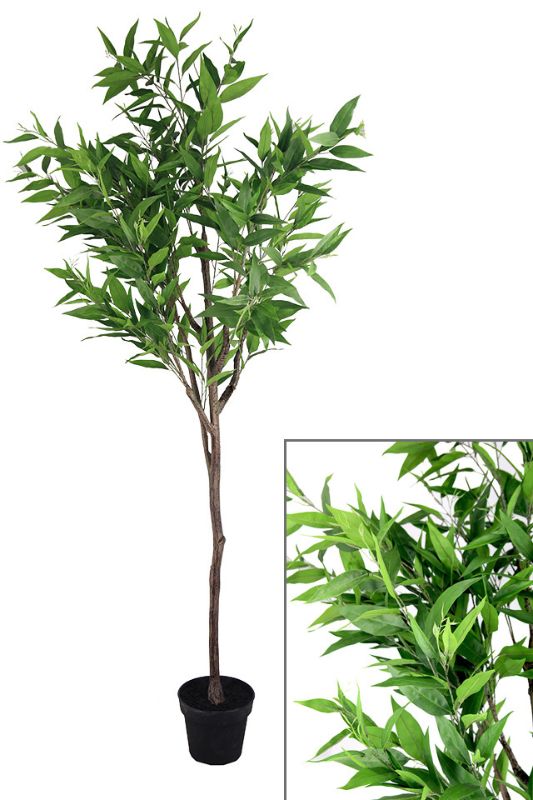 Lifelike 200cm artificial citrus tree with natural wood stem and vibrant green leaves, perfect for any interior style.