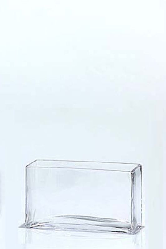 Set of 12 clear glass trough vases, perfect for versatile floral and succulent arrangements in any decor style.