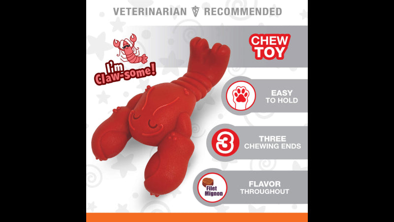 Dog Toy - Power Chew Lobster - Regular