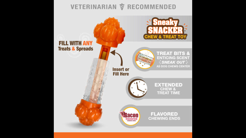 Dog Toy - Strong Chew Sneaky Snacker Chew & Treat Toy - Wolf