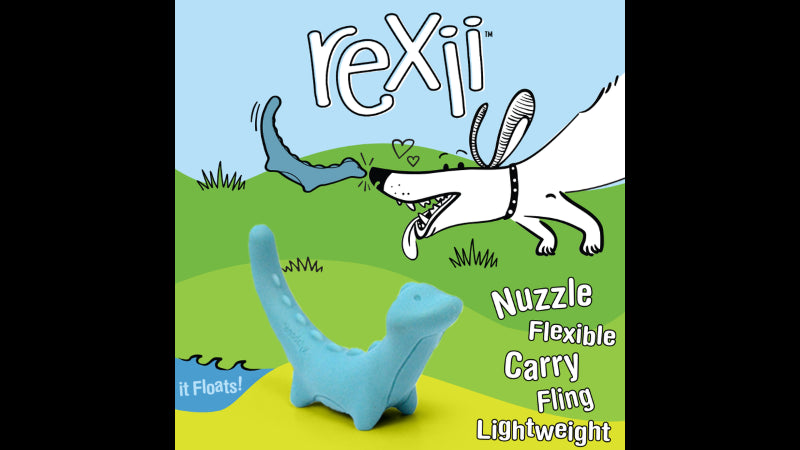 Dog Toy - Creative Play Rexii Small - Blue