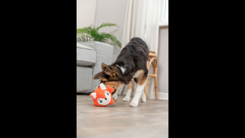 Dog Toy - Fox plush 11cm