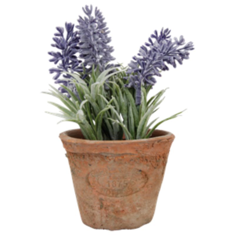 Artificial Lavender In Terracotta Pot - 9 x 9 x 16cm (Set of 4)
